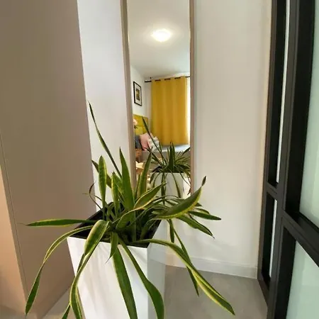 Amarillo 2 *