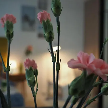 Appartement Amarillo 2 *